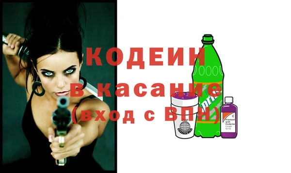 соль ск Дмитров