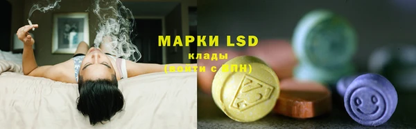 ALPHA PVP Гусев