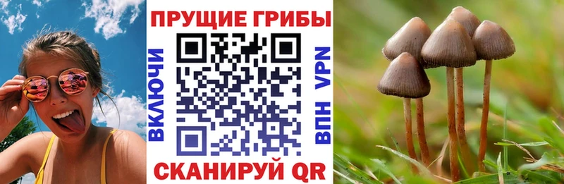 Галлюциногенные грибы прущие грибы Красногорск