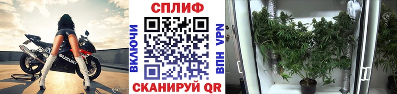 МАРИХУАНА гибрид магазин продажи Красногорск